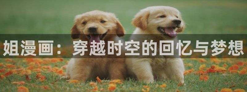 超能立方包子漫画